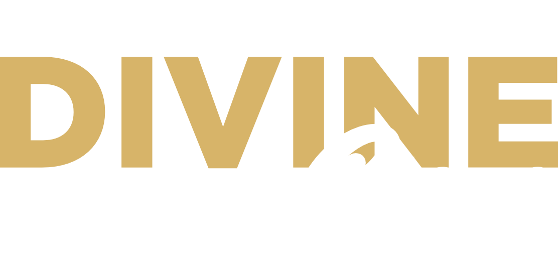 Divine Group Logo